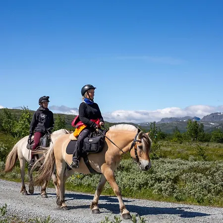 Charming Family With Stunning Mountain Views *